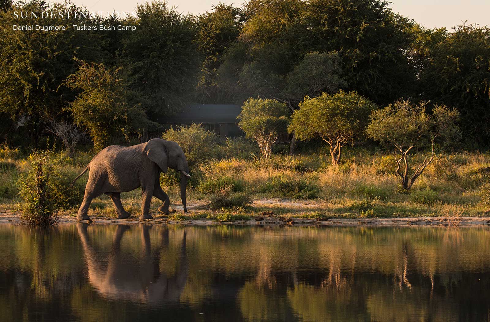 Tuskers Elephant Waterhole Tuskers Elephant Waterhole