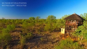 Africa on Foot Treehouse