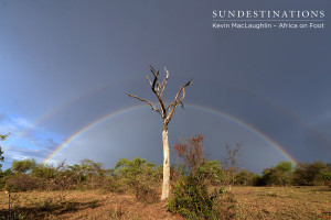 A true African landscape after the rains at Africa on Foot