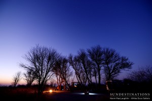 Camping at Tree Island in Makgadikgadi