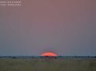 Sun setting on Makgadikgadi