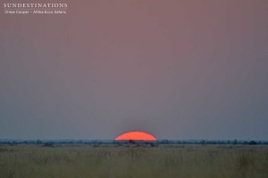 Sun setting on Makgadikgadi