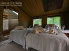 Meru-style tents at Johan Chase Safaris