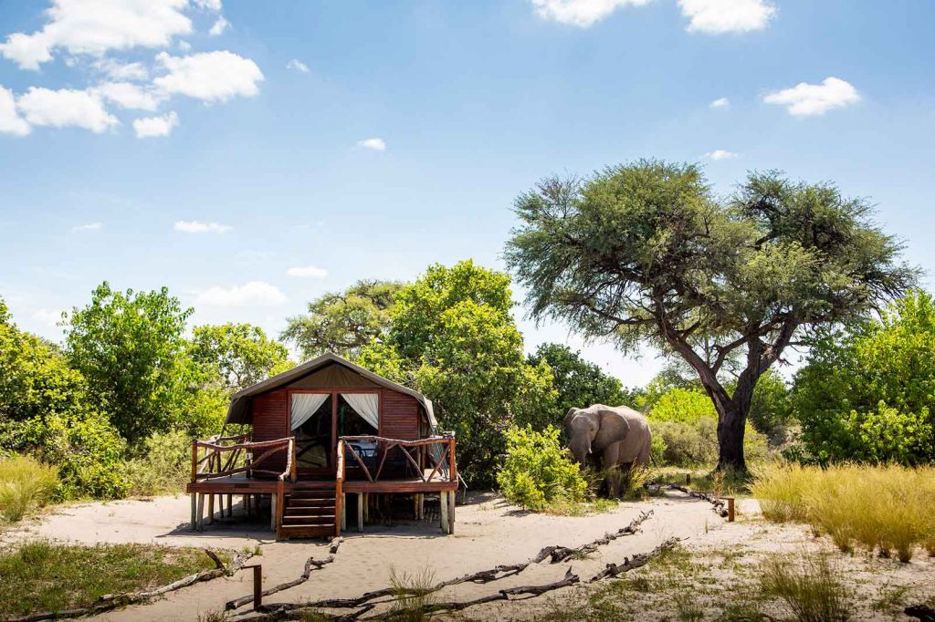 Camp Savuti In Botswana | Chobe National Park