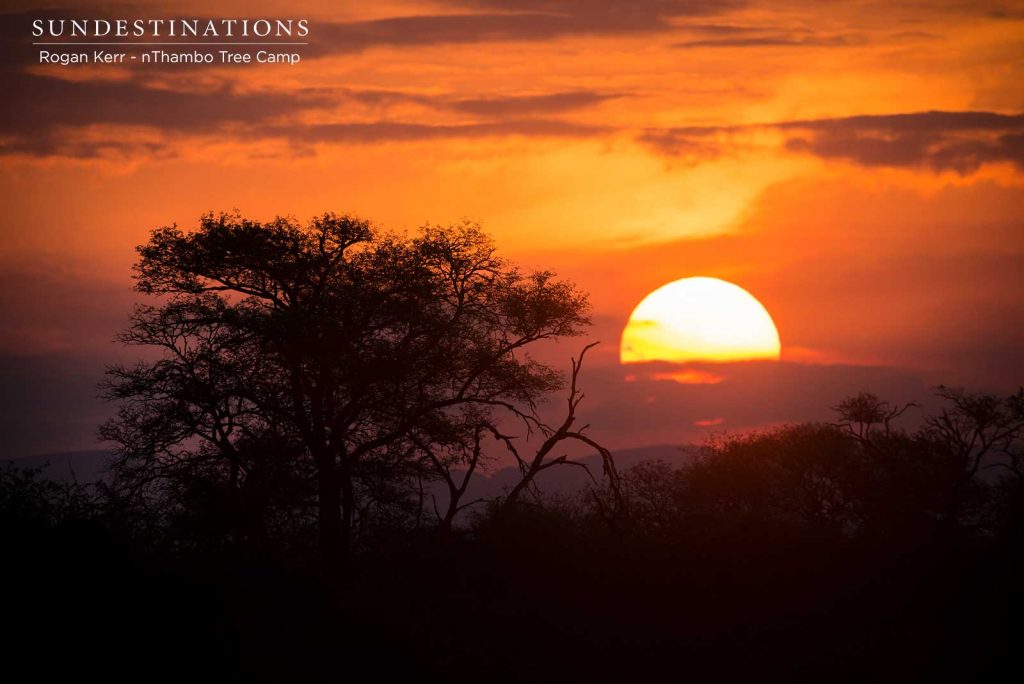 Фото south african sun фото