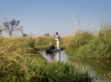 An Okavango Delta safari isn’t complete without at least one guided mokoro safari experience. It’s an unforgettable, iconic, and authentic activity that is also eco-friendly. What better way to navigate the narrow, papyrus-lined channels and search for wildlife hidden in the reeds than by being so close to the water’s surface? The best part is […]