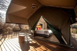 Meru Style Tents at Boteti