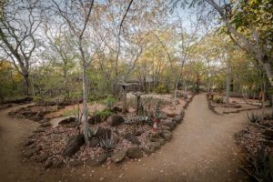 Taita Falcon Garden