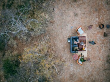 Conservation from your couch might sound like a contradiction; we’re not suggesting saving energy by becoming a couch potato, but rather practicing small everyday acts that create waves of positive change for our planet. Watch the tiny but mighty dung beetle slowly gather dung and clean up after larger herbivores. An elephant can produce a […]