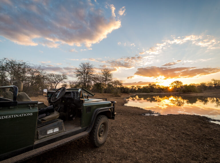 When to Go on Safari? A Guide to Southern Africa’s Seasons