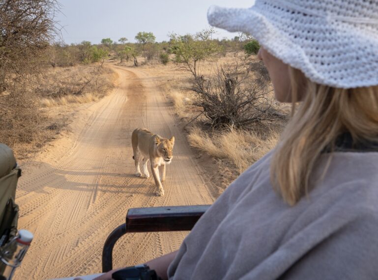 First-Time Safari in the Greater Kruger? Here’s What You Need to Know”