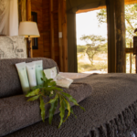 Tree Lodges at nThambo