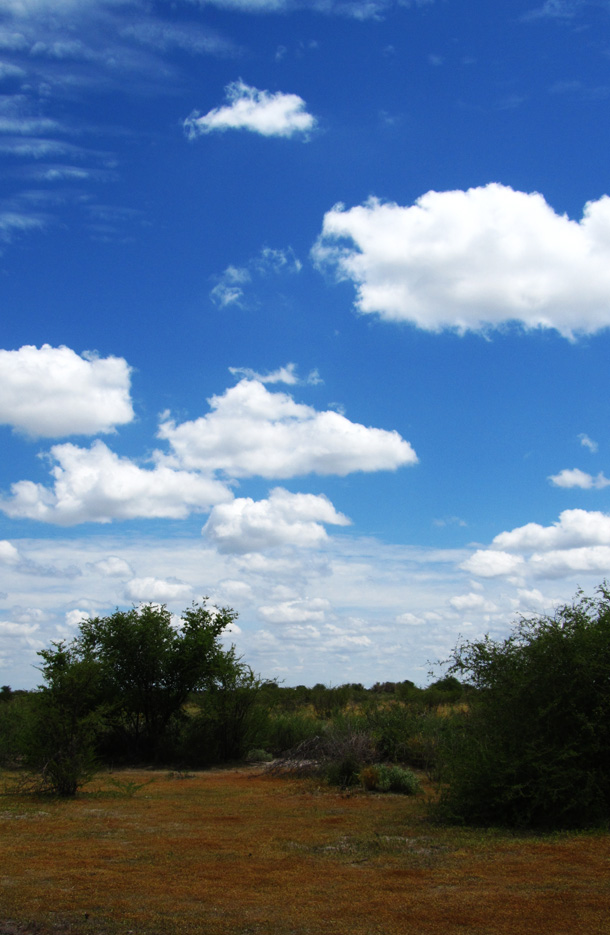 Botswana Sky in Central Kalahari Botswana Sky in Central Kalahari