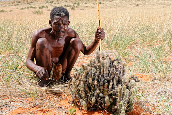 Bushmen Experience at the Haina Kalahari Lodge Haina Kalahari Lodge Bushmen Experience