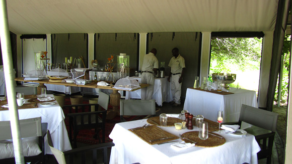 Camp Machaba Dining Dining at the elegant Camp Machaba