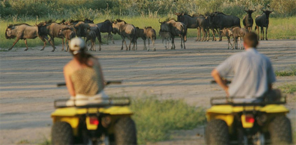 Haina Quad Biking Enjoy Quad Biking at the Haina Kalahari Lodge
