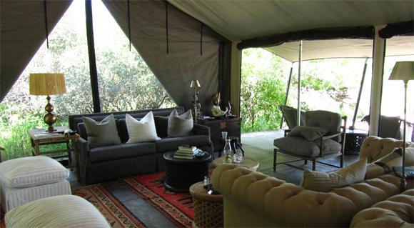 The Library and Lounge Area