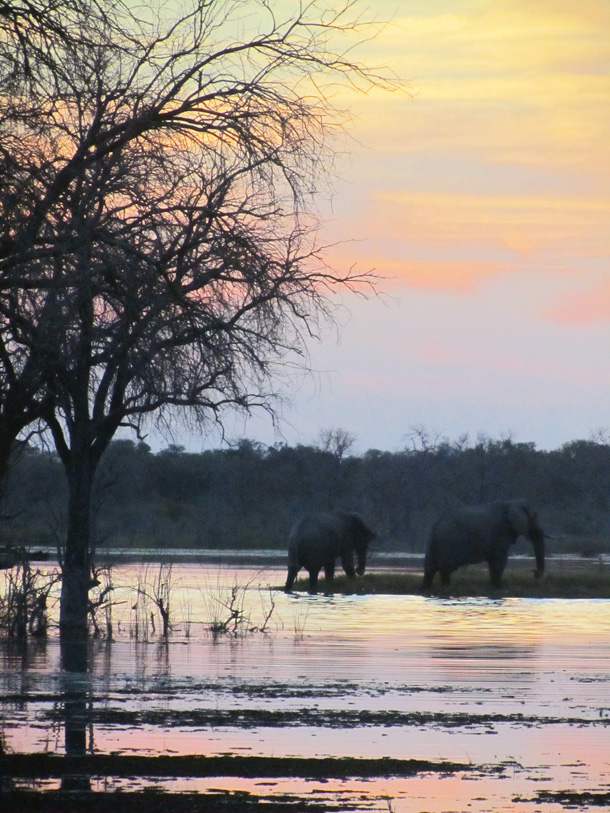 Botswana Sunset Typical Sunset in Botswana