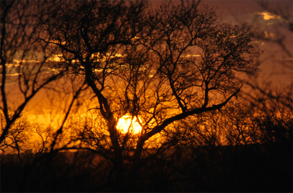 Klaserie Sunset Sunset in the Klaserie