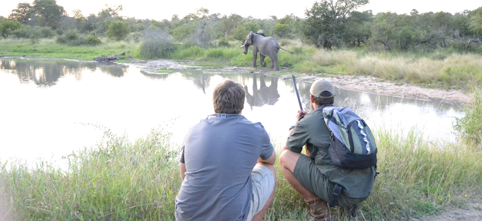 Africa On Foot Walking Safaris