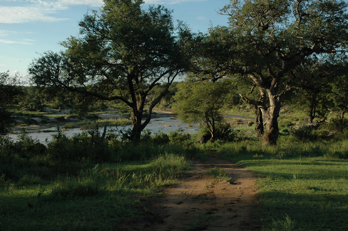 Klaserie Private Nature Reserve