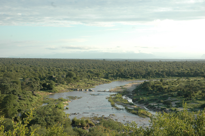 nDzuti views over the Klaserie River