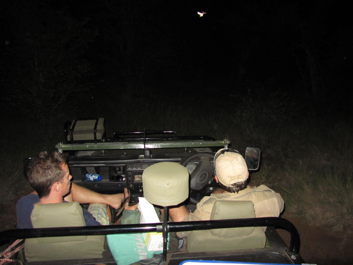 Game rangers watching the lions