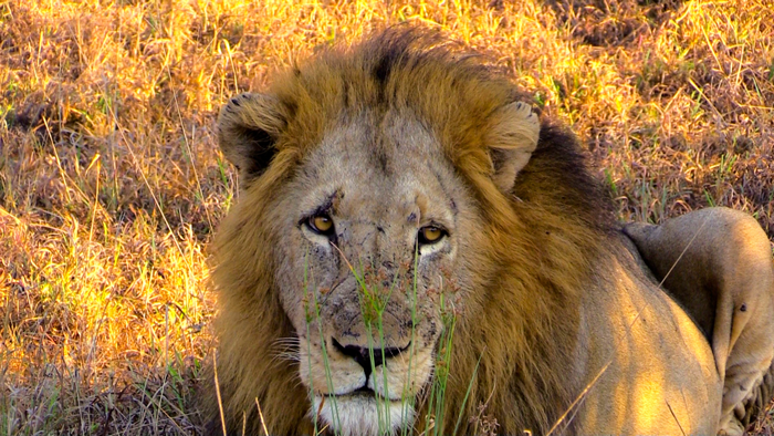 One of the boys from the Trilogy