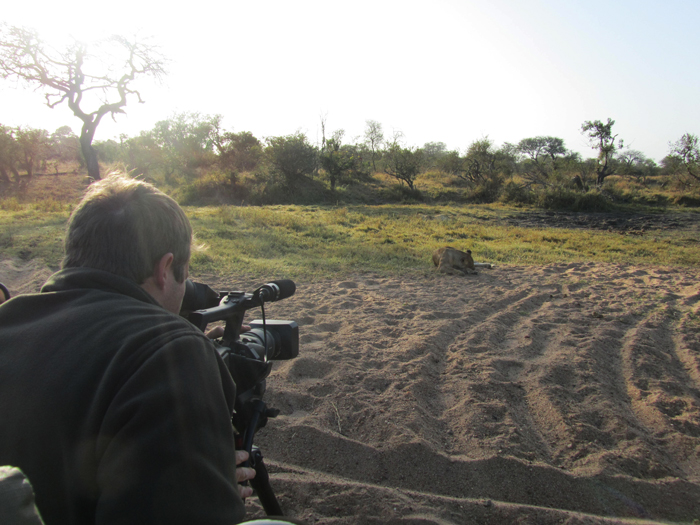 Kevin MacLaughlin Wildlife Photographer and Videographer