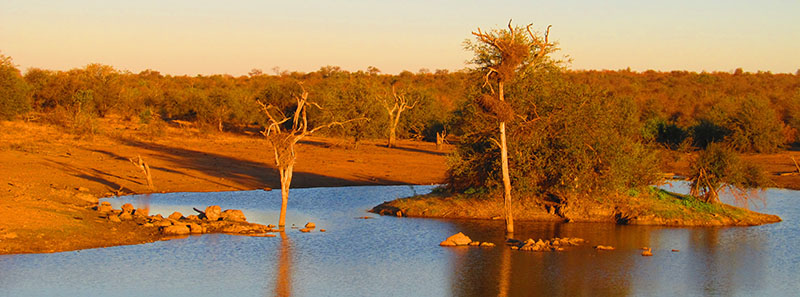 Klaserie Private Nature Reserve
