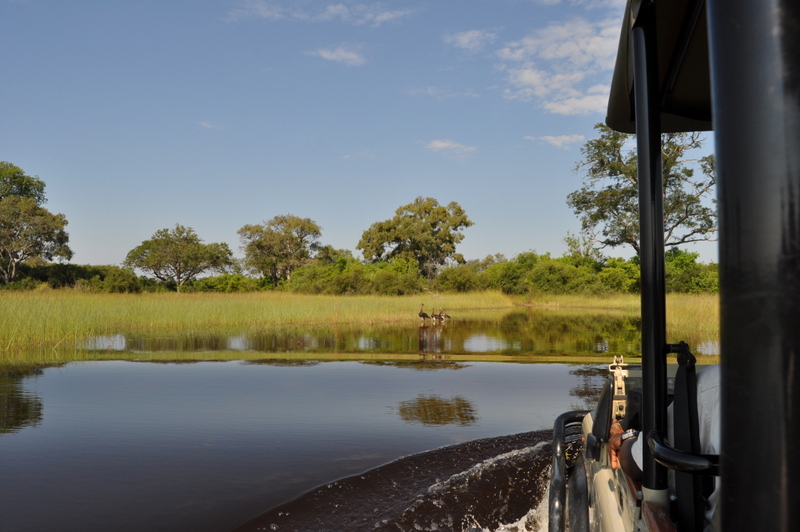 mapula-okavango-game