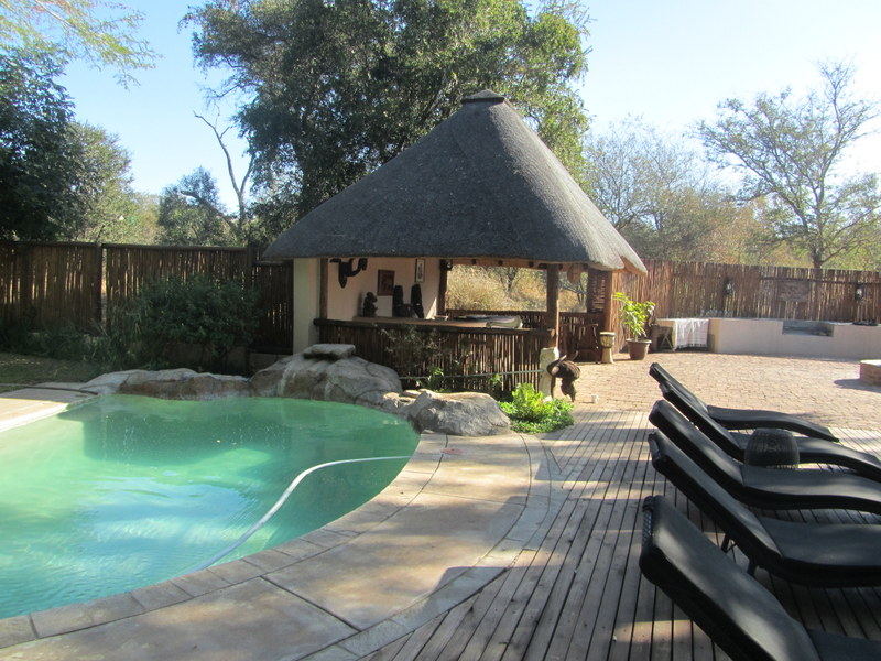 The bar and pool at nDzuti.