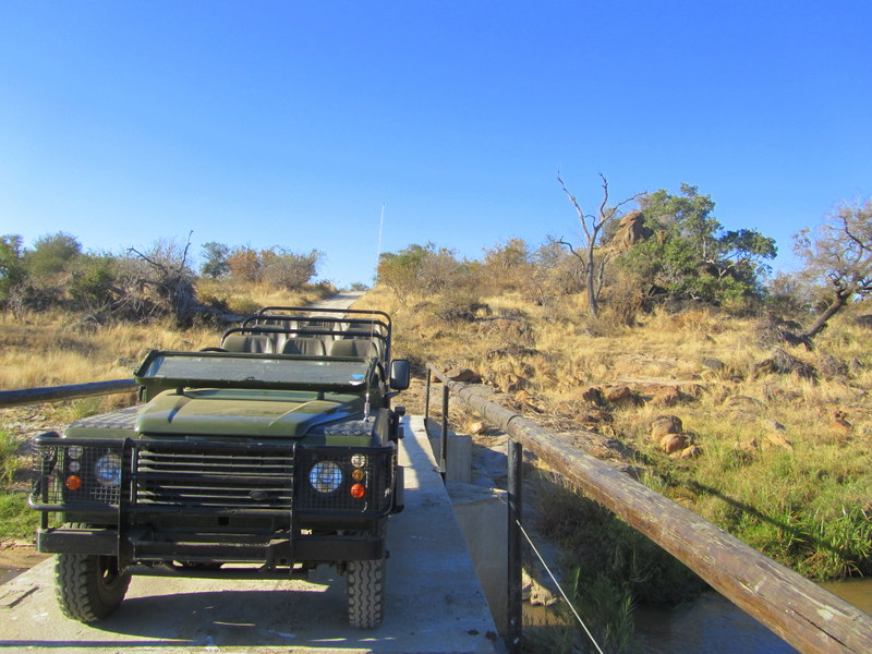 Game drive has begun!