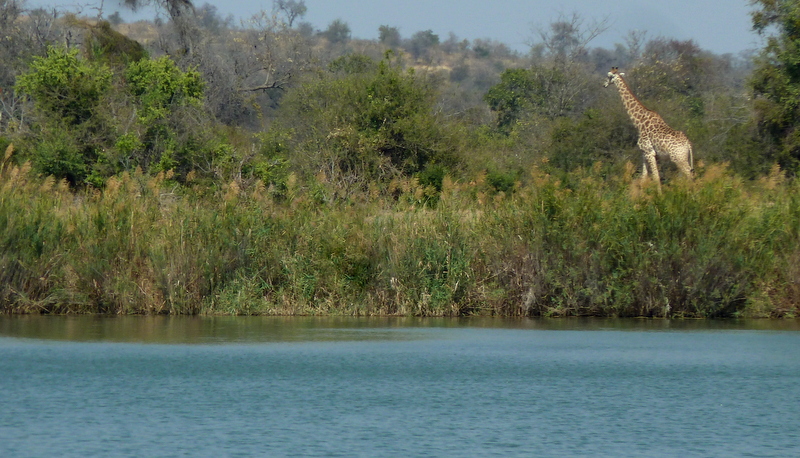 olifantsriver-nokana