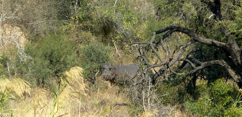 olifantsriver-nokana