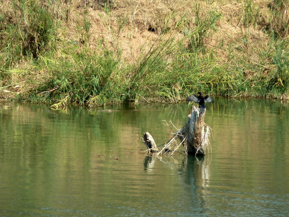 olifantsriver-nokana