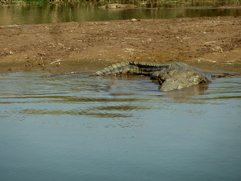 olifantsriver-nokana