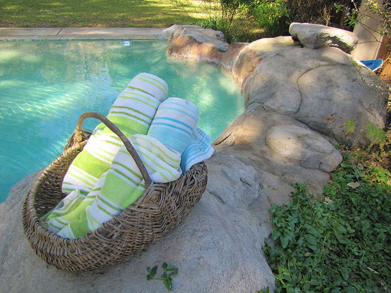 Pool in front of nDzuti water hole