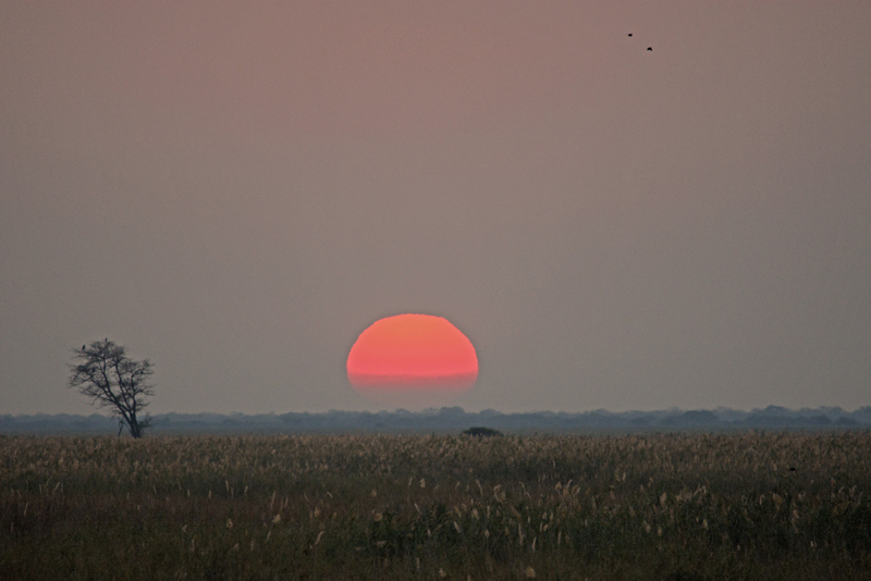 sunset-camp-linyanti