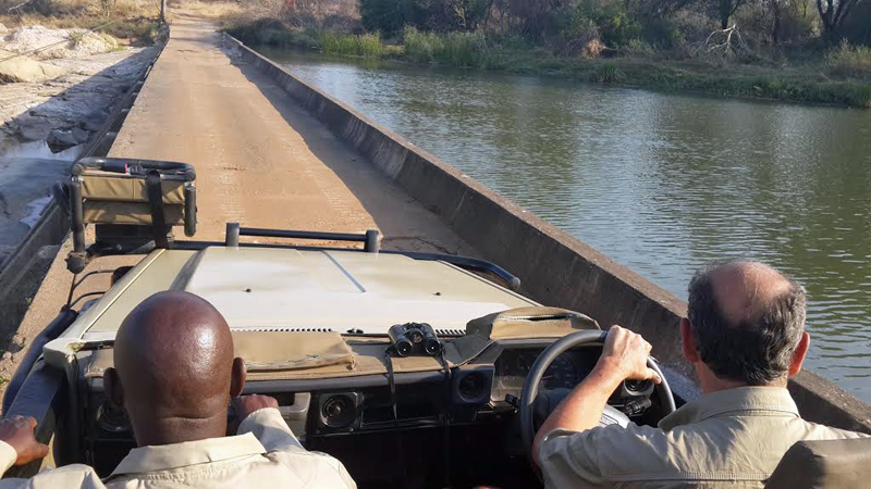 drive-marakapula-chloe