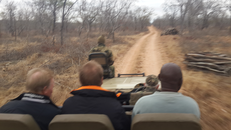 gamedrive-chloe-marakapula