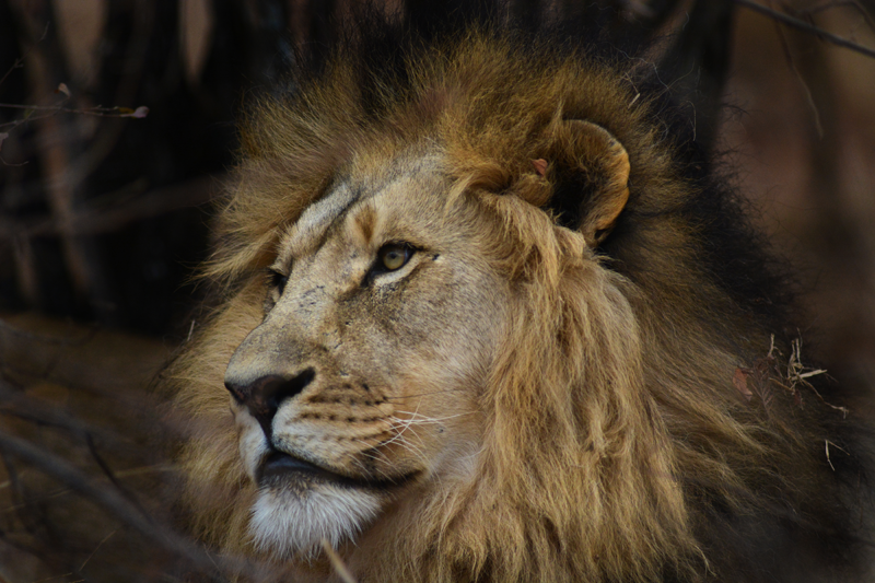 Photo by Kevin MacLaughlin