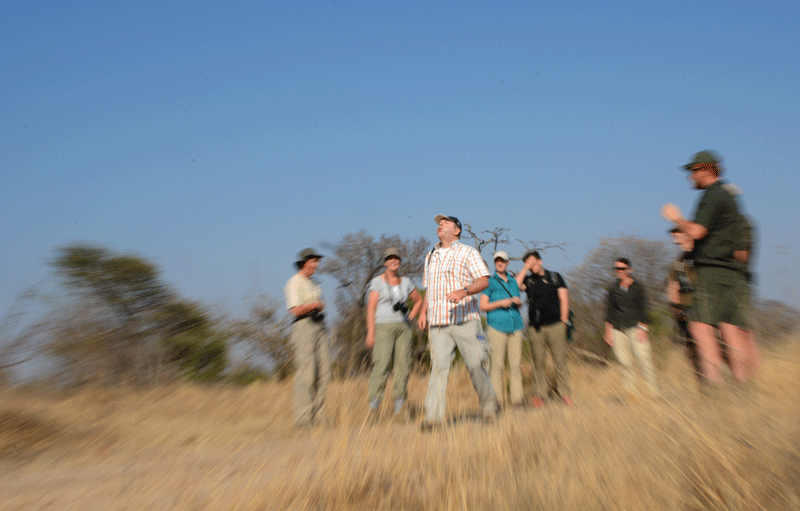 Action shot playing 'spoeg' at Africa on Foot.