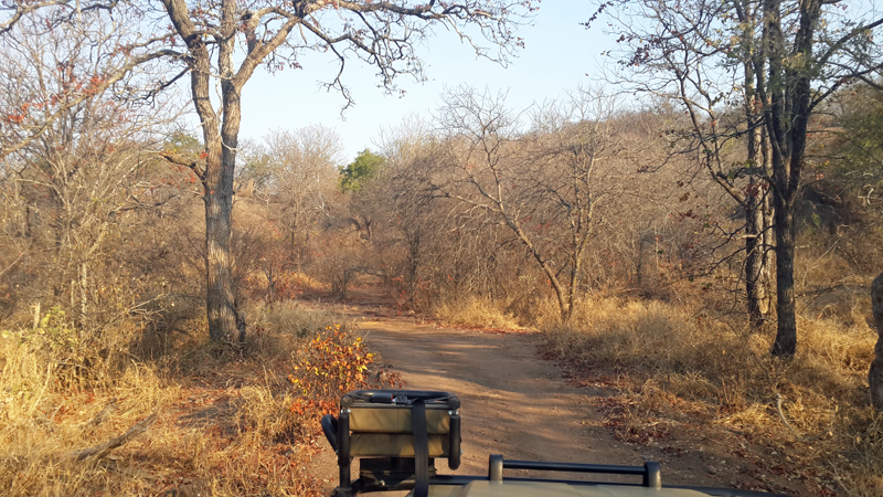 trackerseat-marakapula-chloe