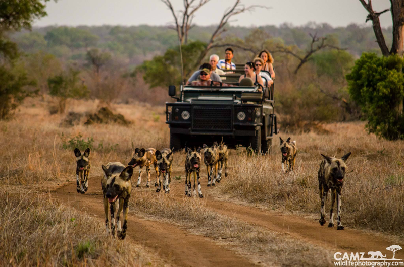 Photo by Umkumbe guide, Cameron Engelbrecht.