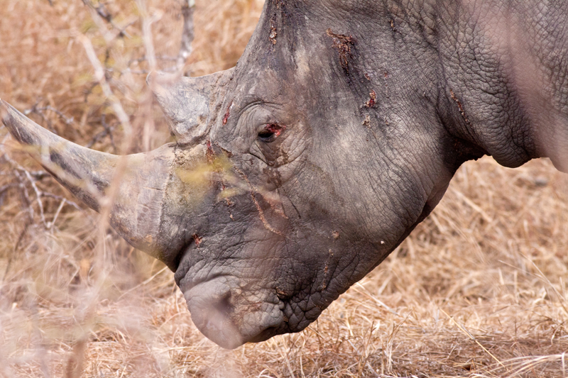 Image by Jochen Van de Perre.