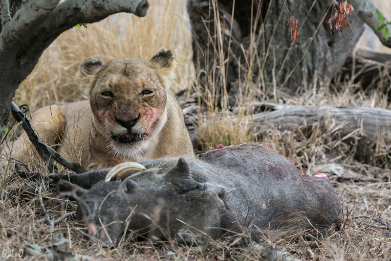 Image by Em Gatland.