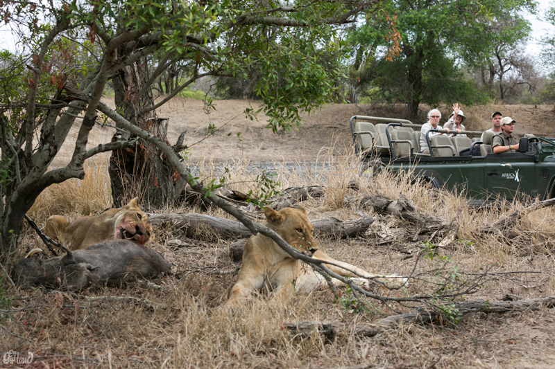 Image by Em Gatland.