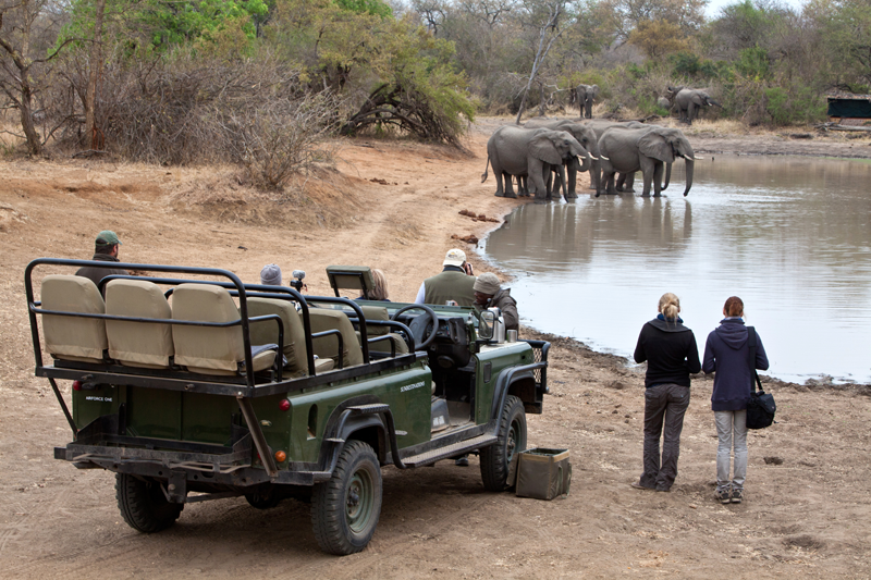 Jochen captures the scene as nThambo guests enjoy their morning coffee at the waterhole with the elephants. Perfectly executed by guide, Matt Roberts. Image by Jochen van Der Perre.