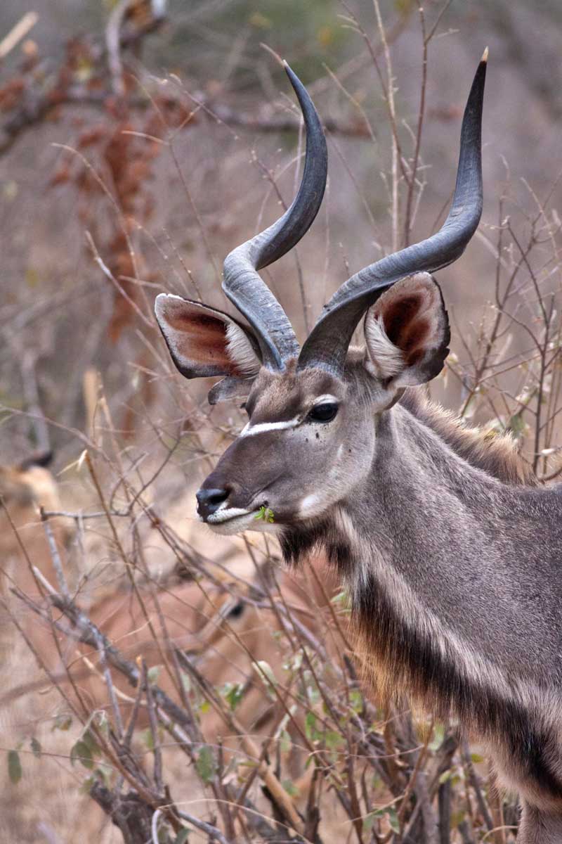 Image by Jochen Van de Perre